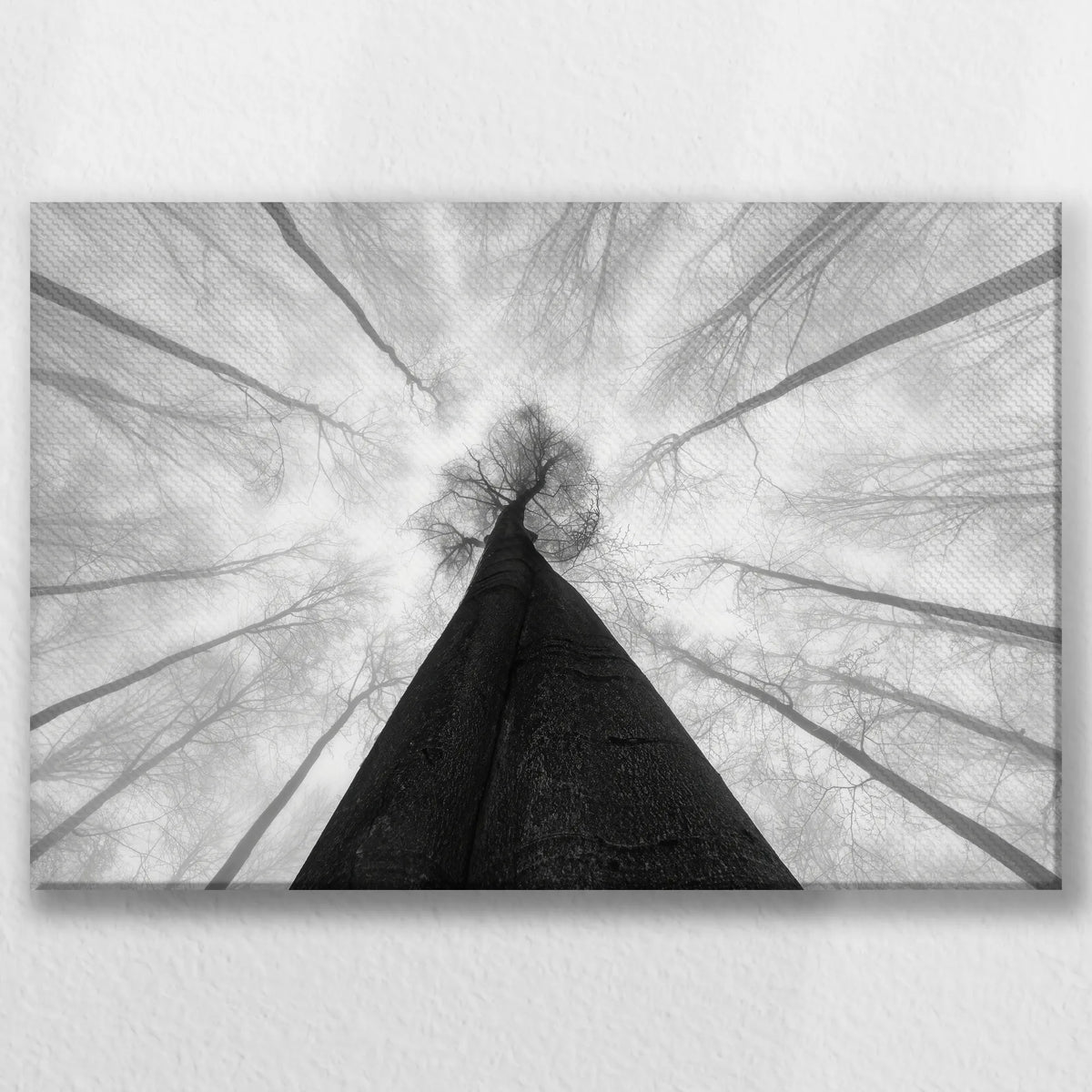 LW-045W030