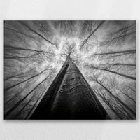 AC-060W045
