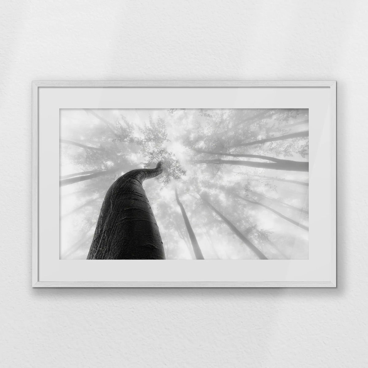 PWP093W062