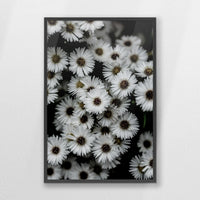 PK-062W093
