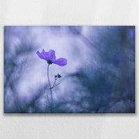LW-075W050