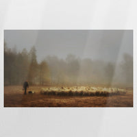 PO-100W060