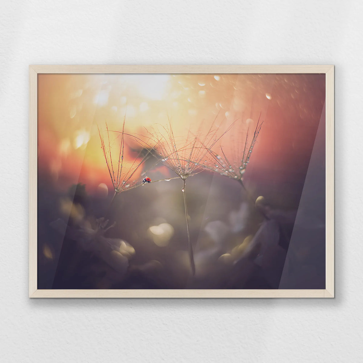 PN-070W050