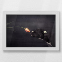 LWW030W020