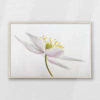 PN-093W062