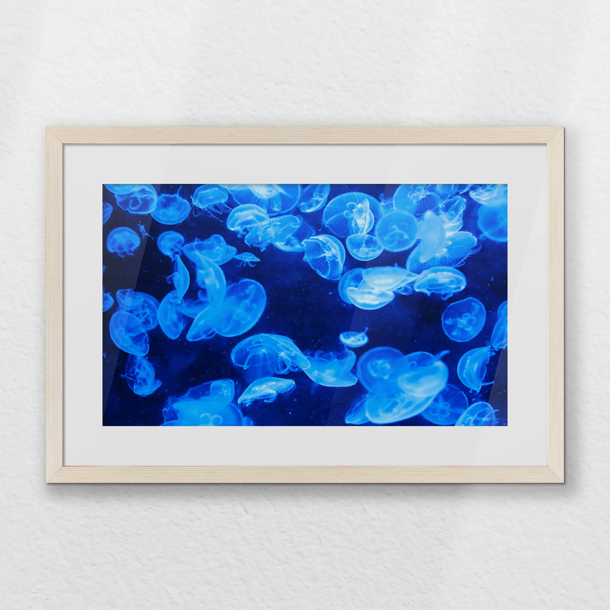 PNP060W040
