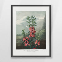 PK-050W070