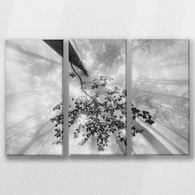 LW-060R040