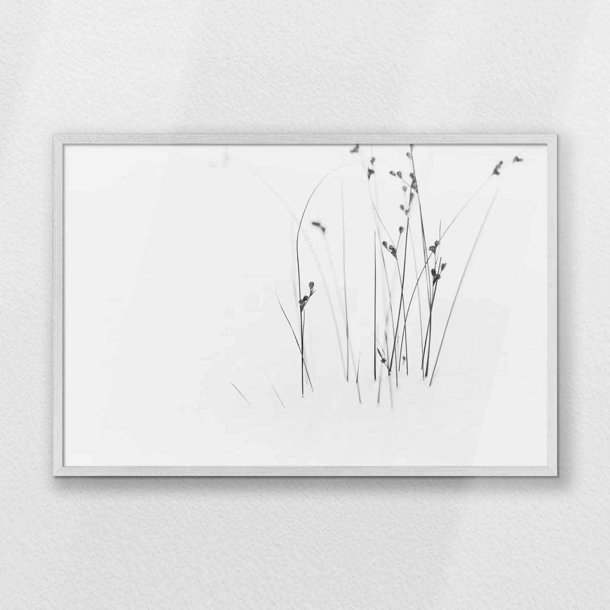 PW-093W062