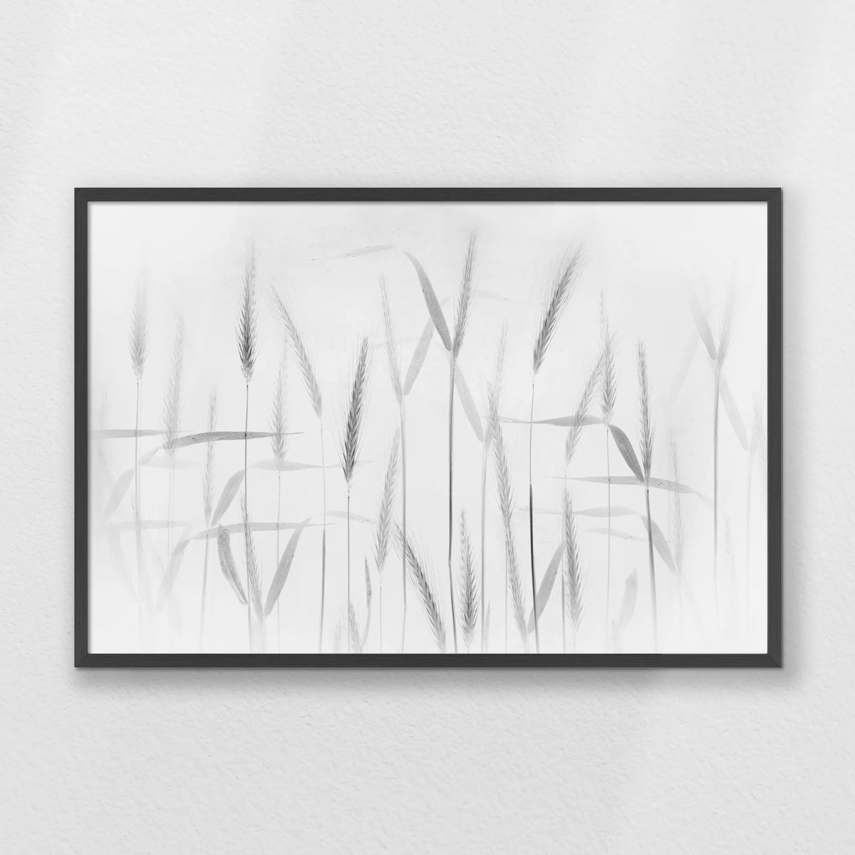 PK-093W062