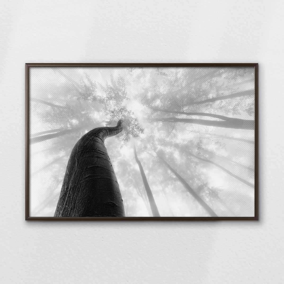 LWN100W070