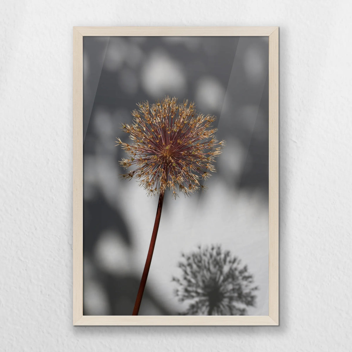 PN-040W060