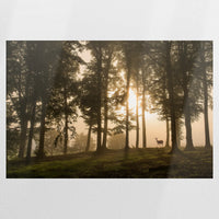 PO-120W080