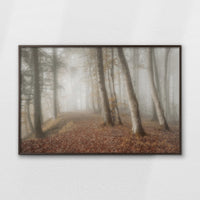 LWN120W080