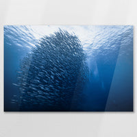 AC-075W050