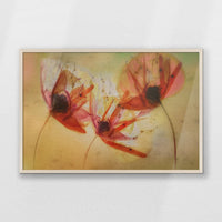 PN-093W062