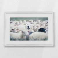 PWP060W040