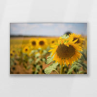 PS-120W080