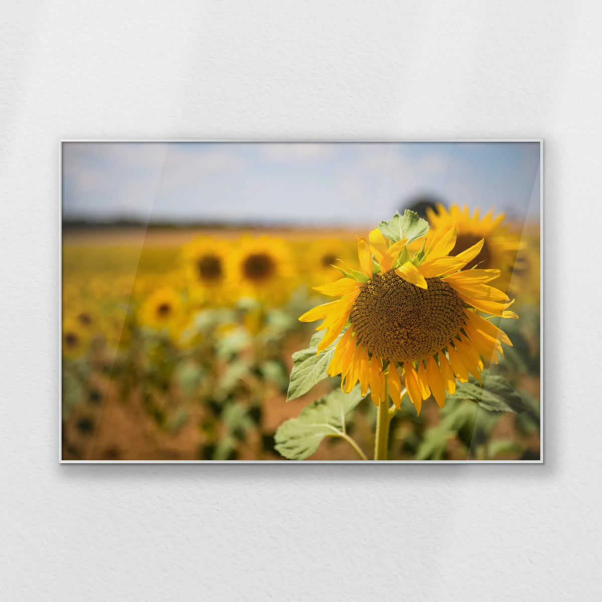 PS-120W080