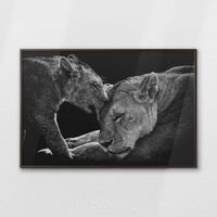 LWN120W080