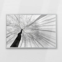 PS-093W062