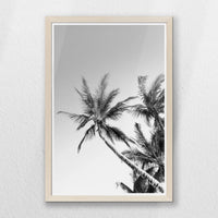 PN-040W060