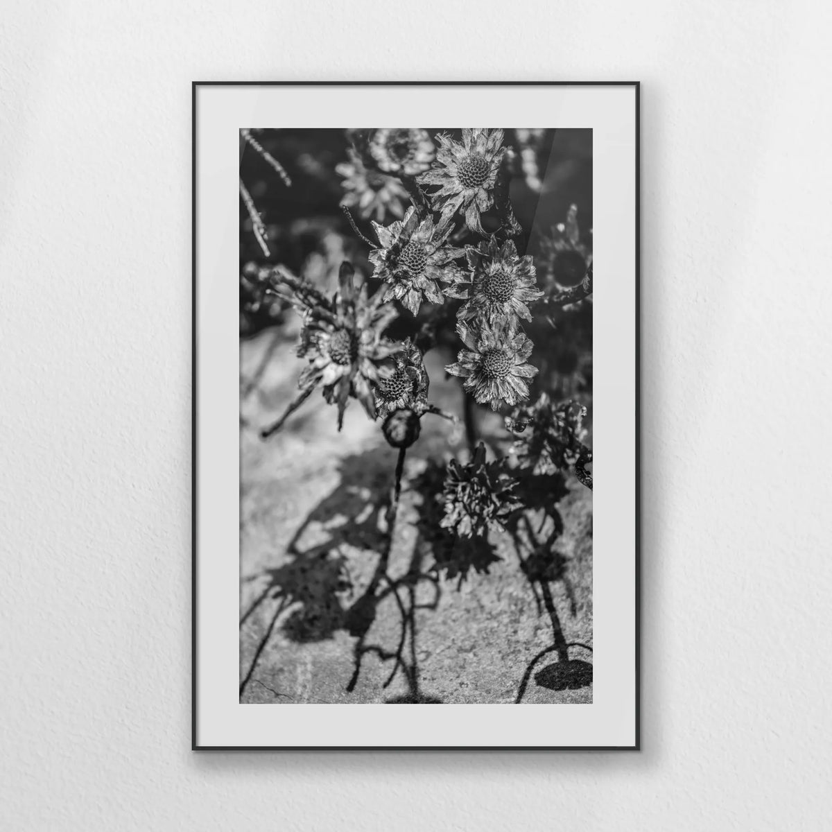 PBP080W120