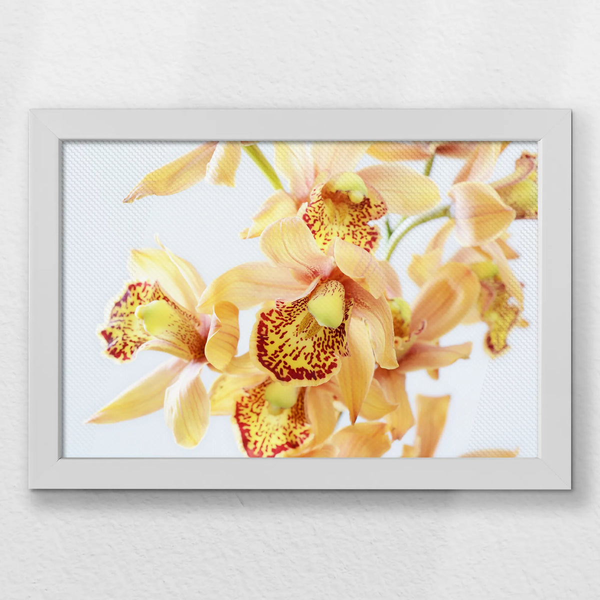 LWW030W020