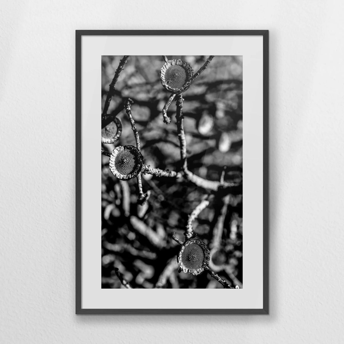 PKP062W093