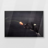 PB-093W062