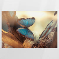 PO-075W050