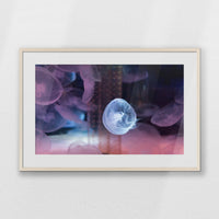 PNP093W062
