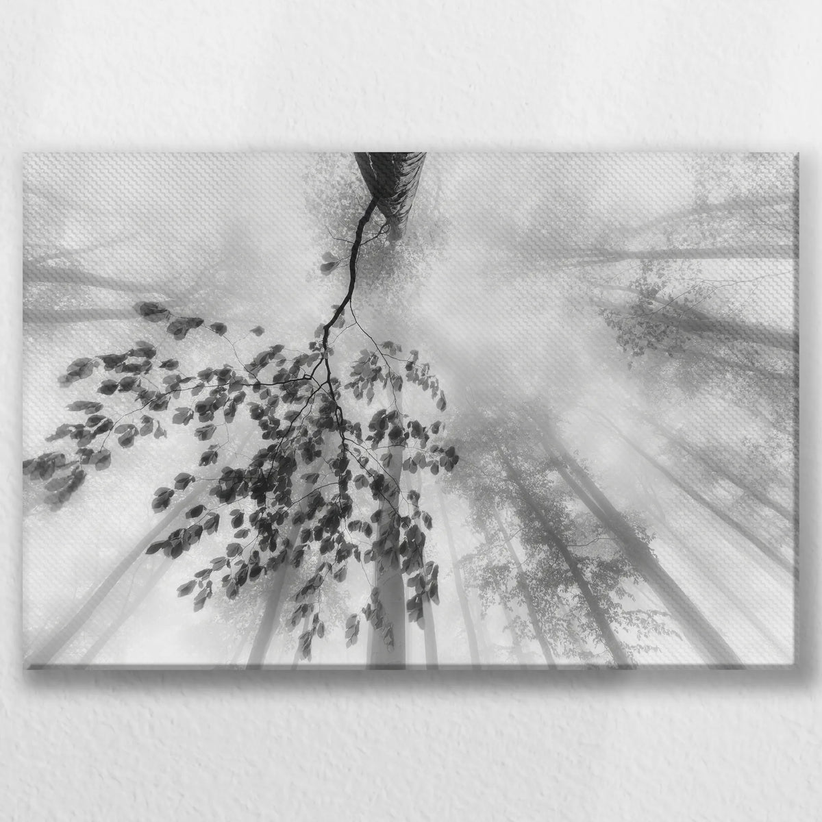 LW-045W030