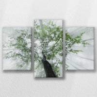 LW-060T040