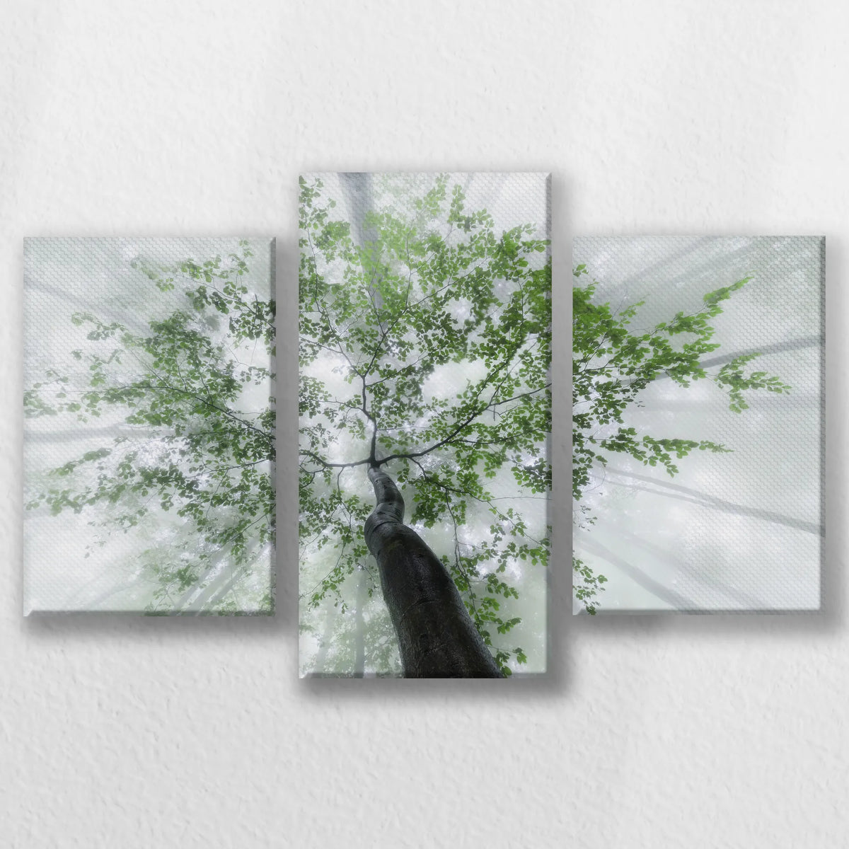 LW-060T040
