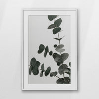 PWP070W100