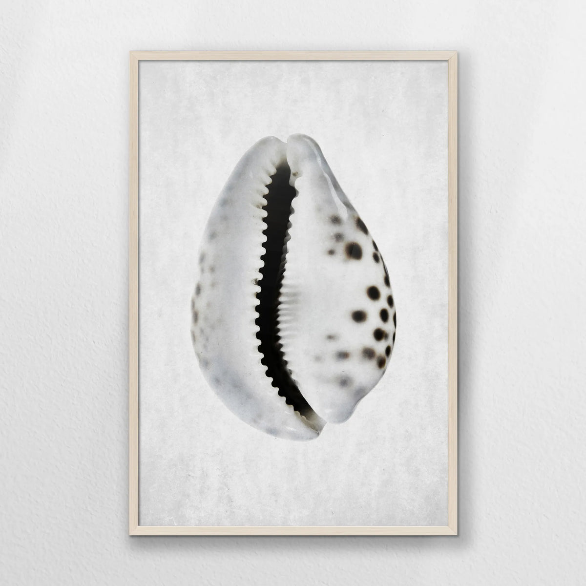 PN-062W093