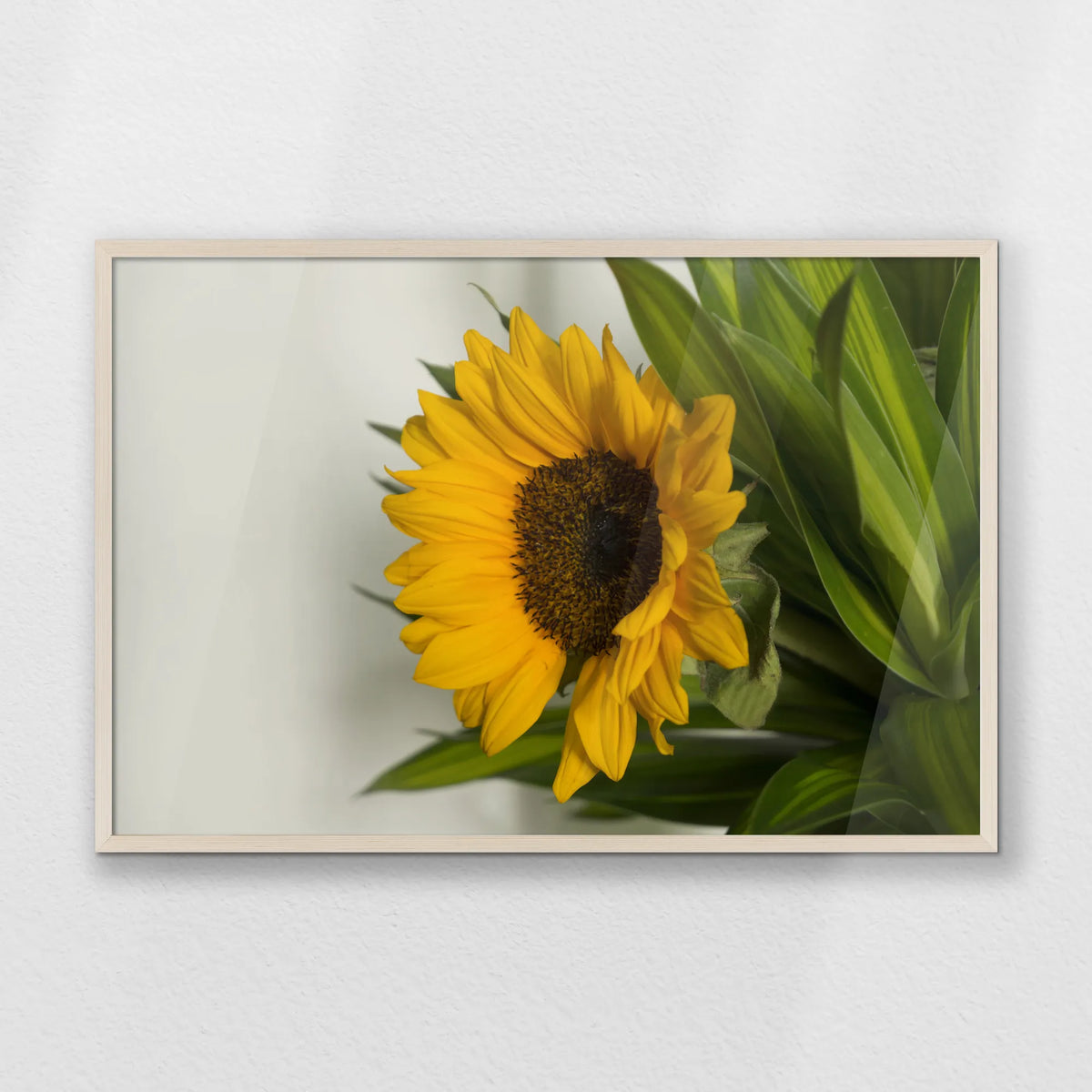 PN-093W062