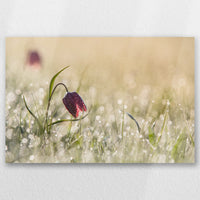 AL-060W040