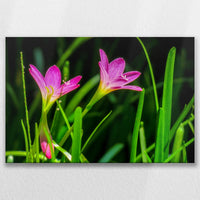 LW-090W060