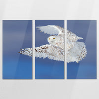 AL-180R120