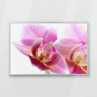 PS-093W062