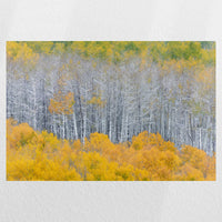 PO-030W020