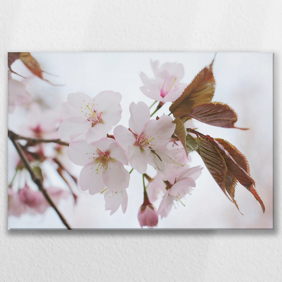 LW-075W050