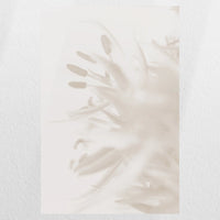 PO-030W045