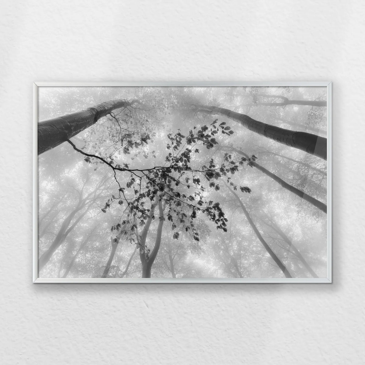 PS-060W040
