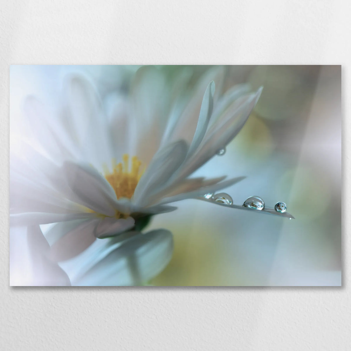 AL-075W050