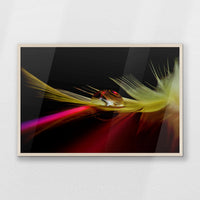PN-093W062