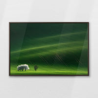 LWN120W080