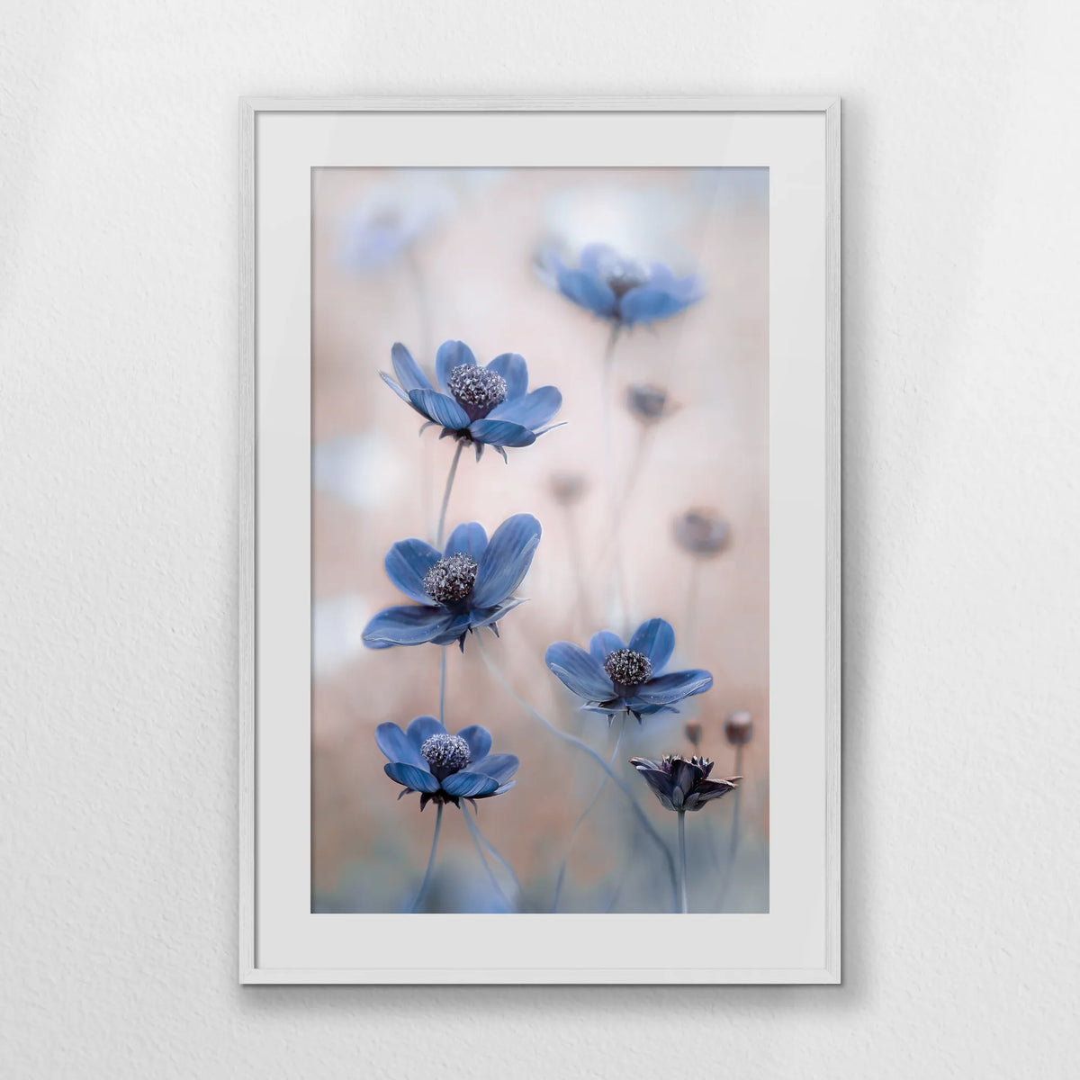 PWP070W100